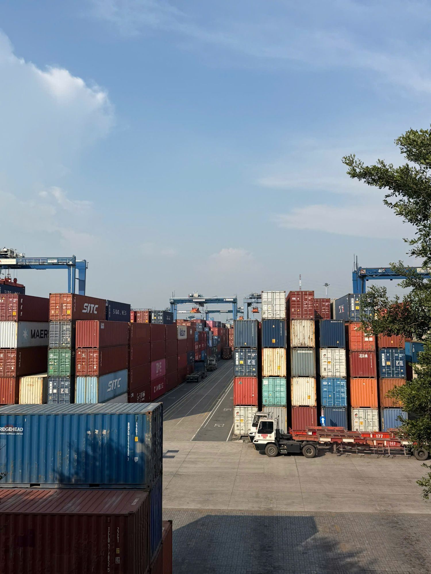 Bãi container và cần cẩu khung tại cảng